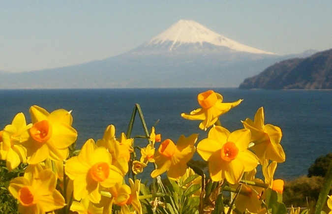 西伊豆 富士山